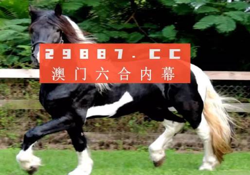 澳门和香港一肖一特一码一中,词语解析解释落实|最佳精选